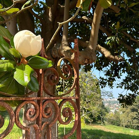 Domaine De La Tisnere Bed & Breakfast Gelos ภายนอก รูปภาพ